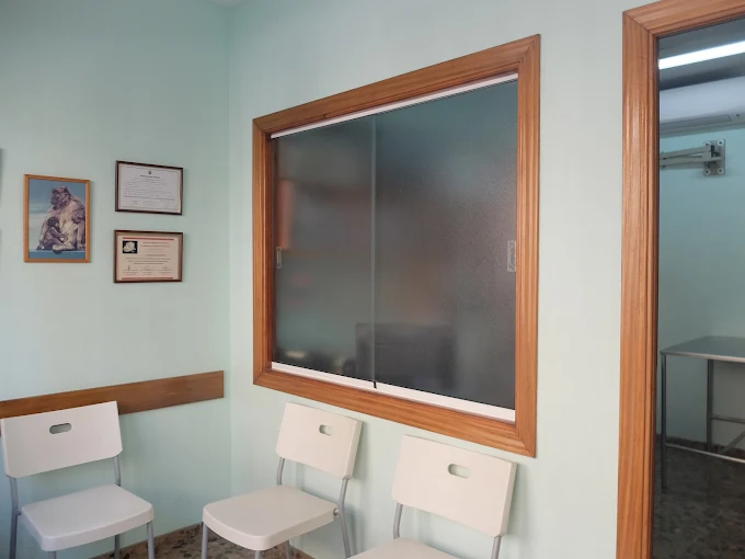 Interior de la consulta veterinaria