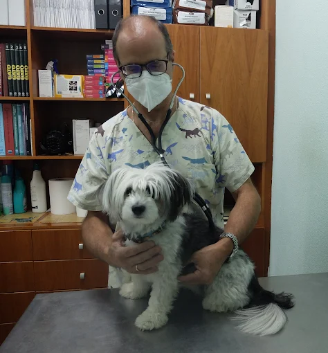 Veterinario atendiendo a un perro en consulta
